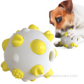 Interactive Dog Cat Toy Ball